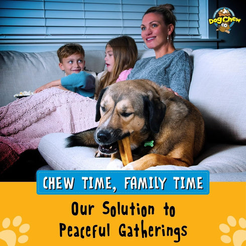 Tibetan Yak Cheese Chew Sticks - Natural Treats for Small to Large Dogs, Digestible, Promotes Dental Health, 15-Pack