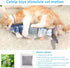 Tocirelo Flopping Fish Cat Toy with Catnip, 11" Electric Plush Wiggle Fish for Indoor Cats, Kicker Dog Toy