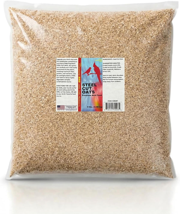 Morning Bird Steel Cut Oats 9 lbs High Protein Natural Cut Oat