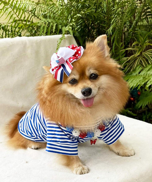DroolingDog 3 Pack Striped Dog Shirts for Small Dogs, Boys & Girls Clothes, Pack of 3