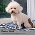 Dogs,(4 Pack) Vecomfy Reusable Female Dog Diapers for Small Easy Absorbent Puppy Diapers for Peeing,in Heat,Doggie