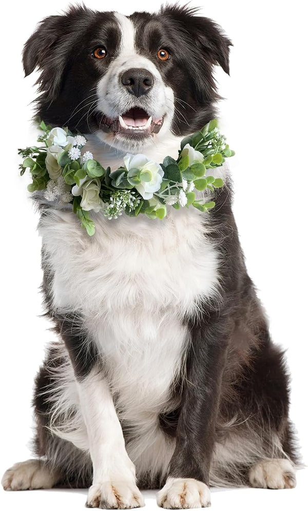 Dog Wedding Flower Collar, Flower Crown for Weddings, Rose Flower Crown, Pet Photo Prop for Cats and Dogs