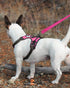 Joytale Double-Sided Reflective Dog Leash, 6 FT/5 FT/4 FT, Padded Handle Heavy Duty Leash for Medium & Large Dogs