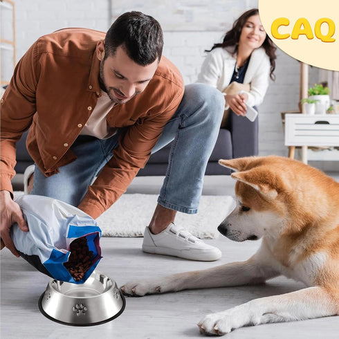 CAQ Dog Cat Bowls Stainless Steel, Small Food Water Bowl Set for Indoor Pets, Non-Slip Removable Rubber Base, Set of 2