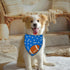 Football Dog Bandana Boy Girl Pets Bibs Scarf Triangle Adjustable Handkerchief,Holiday Bandanas for Medium Large
