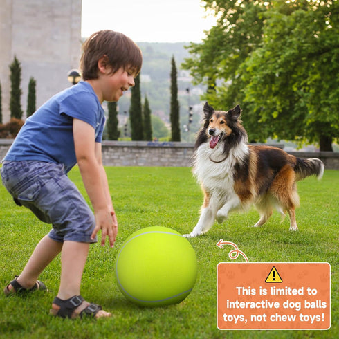 QDAN Giant Large Tennis Ball for Dogs: 9.5" Yellow Dog Tennis Ball for Outdoor Play, Big Dog Toy