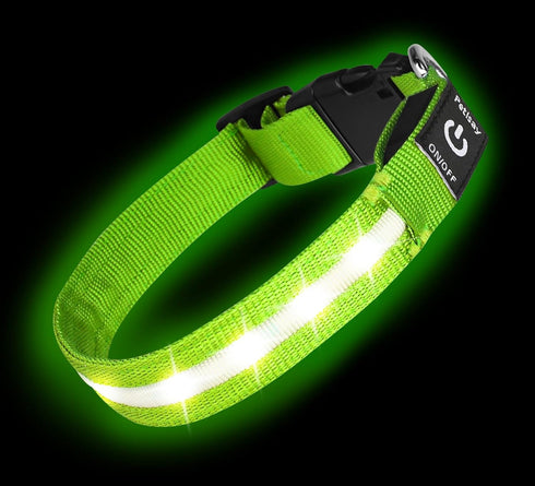 PetIsay Light Up Dog Collar - High Visibility Nylon, USB C Rechargeable & Waterproof LED for Night Walking, Medium Green