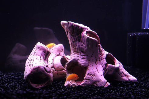 ALEGI Aquarium Tree Stump Hole for Betta Fish, Rock Cave Cichlid Stone Accessories for 10, 20 Gallon Fish Tank