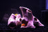 ALEGI Aquarium Tree Stump Hole for Betta Fish, Rock Cave Cichlid Stone Accessories for 10, 20 Gallon Fish Tank