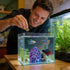 Generic Shrimp Cave,Simulated Porous Coral Stone Shrimp Shelter - Aquarium Caves with Suction Cup - for Guppy Terrarium