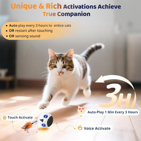 4 2 ORSDA Cat Ball Toys, Interactive Cat Toy for Indoor Bored Indoor Cats Kitten Toys, Automatic Electric Bird Moving
