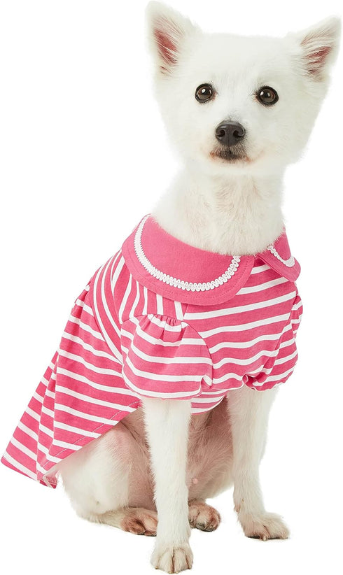 Blueberry Pet Sea Lover Rose Pink Striped Cotton Blend Dog Dress with Bowtie - Back Length 14" - Pack of 1