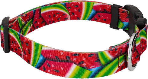 Country Brook Petz Deluxe Summer Melon Dog Collar, Tasty Collection (1/2 Inch, 2XS)