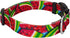 Country Brook Petz Deluxe Summer Melon Dog Collar, Tasty Collection (1/2 Inch, 2XS)