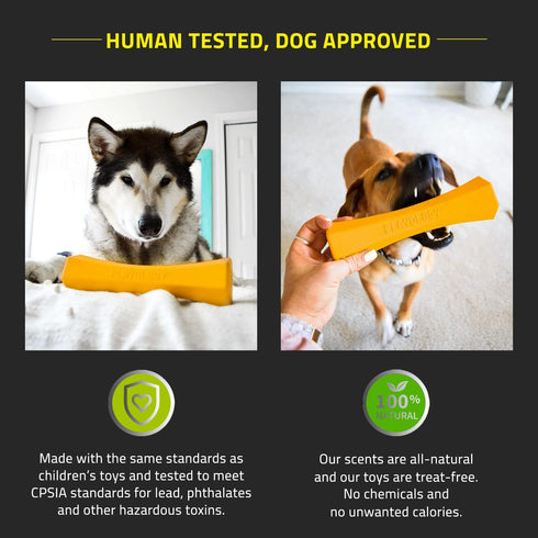 Playology Squeaky Chew Stick Dog Toy for Large Breeds (35lbs and Up), All-Natural Cheddar Cheese Scent