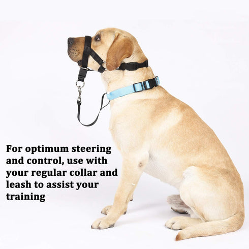 BARKLESS No-Pull Head Collar for Dogs, Soft Adjustable Halter Harness for Training & Walking