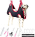 Pet Grooming Hammock - 13 PCS Grooming Kit for Cats & Dogs, Includes Nail Clippers, Scissors, and Steel Comb