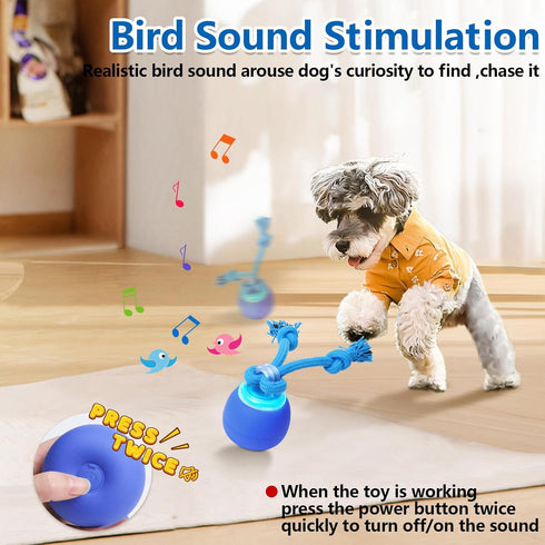 Saolife Interactive Dog Toys with Motion Activated, Squeaky Dog Toy Active Rolling Ball for Puppy and Medium Dogs, USB