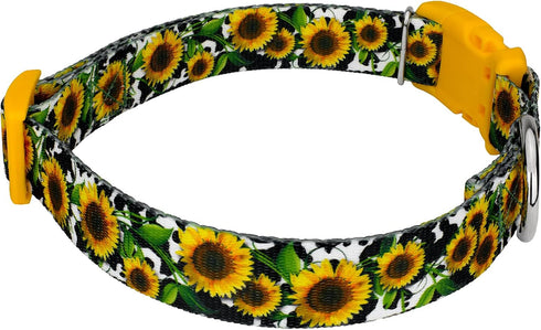 Country Country (1 Inch, Brook Petz - Dairy Fields Everyday Dog Collar and Leash - and Western Collection Featuring