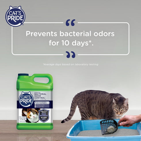 Cat's Pride Max Power, Bacterial Odor Control, 15 Pounds, Strong Clumping, 99% Dust Free