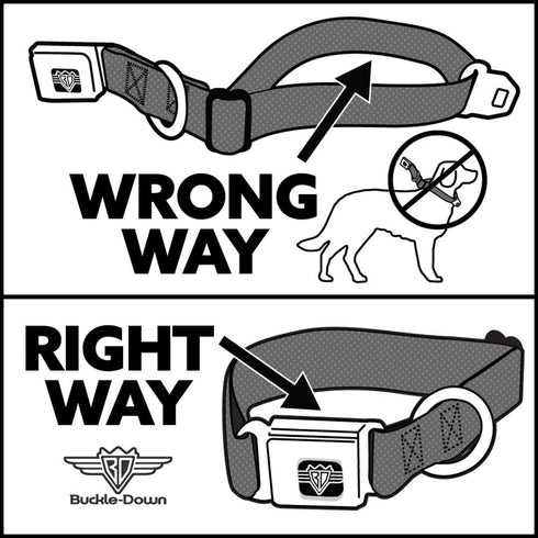 Dog Collar with Thanos Comic Scene Seatbelt Buckle, 1.5 Inch Wide, 13 to 18 Inches, DC-WMC149-WS