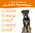 Dog Conditioner with Oatmeal, Aloe Vera & Shea Butter, Natural Grooming Wash for Skin & Coat, 16 OZ