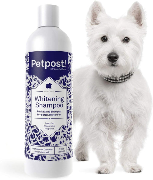 Petpost Dog Whitening Shampoo - 16 oz - Best Lightening Treatment for Dogs with White Fur