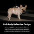 Escape Proof Dog Harness - Secure No Escape Design, Fully Reflective with Handle, Adjustable Vest for Small Dogs