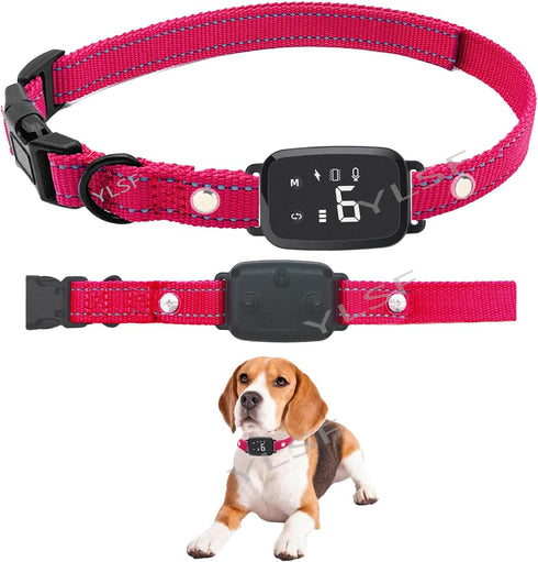 Dog Replacement Collar Strap for Electronic Fence - Compatible with Nearly All Brands and Models, 3/4 Inch Nylon