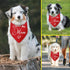 I Love My Mom Dog Bandana Dog Birthday Pet Triangle Scarf Accessories Gender Reveal Baby Announcement Photo Props