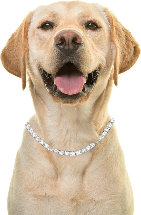 Halukakah ELITE Dog Collar Diamond Tennis Chain - Platinum Plated, 6MM Thick, Size 20" with Designer Goldfoil Giftbox