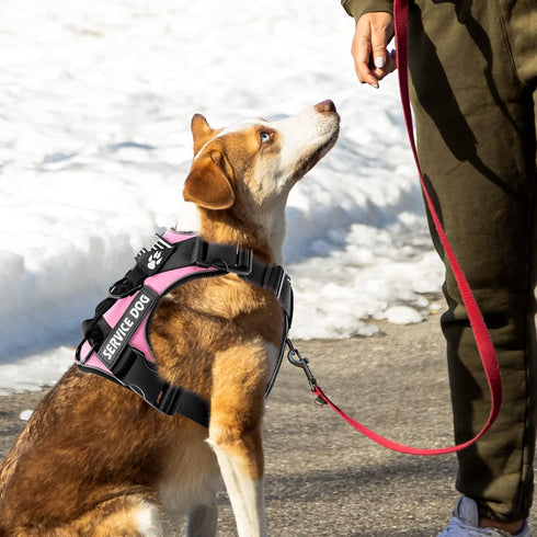 Demigreat Service Dog Harness, Reflective Vest with 5 PCS Patches, Adjustable Soft Oxford Harness for Easy Control
