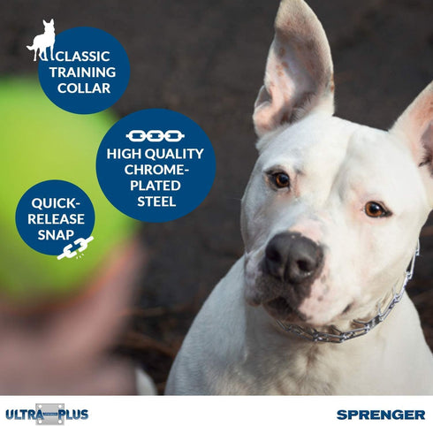 Herm Sprenger Chrome Plated Training Collar, Quick Release Snap, Medium Size, 3.0mm, 21-Inch