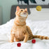 AUEAR 12 Pack 2 Inch Sparkle Ball Shiny Glitter Tinsel Pom Poms, Interactive Cat Balls for Kittens