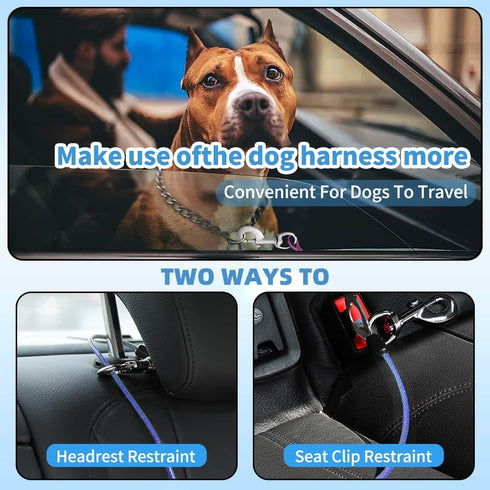 24 inch/60 CM) Dog Seat Belt Harness for Car,Dog Seatbelt of Coated Wire Leash Safety Restraint,No Chew Tether Cable