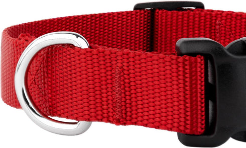 Country Brook Petz Dog Collar, American-Made, Large, 1 Inch Wide, Deluxe Heavy Duty Nylon, Red