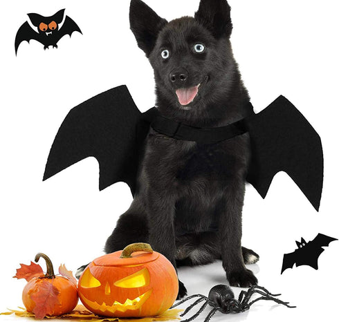 Tealots Halloween Dog Costume - Adjustable Pet Bat Wings for Small Medium Large Dogs, Funny Cat Outfit (L)