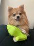 Super Shoe Dog Toy for Aggressive Chewers, Rubber Natural Teething Toys, Treat Dispenser and Toothbrush for Small