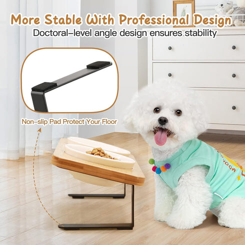 Ceramic Elevated Cat Bowls with Bamboo Stand, 10° Tilted Raised Dishes for Food and Water, Anti Vomiting Pet Bowl Set