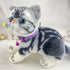 Camouflage Cat Collar with Bells, Purple
