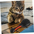 NOLITOY 2 Pcs Pet Double Sided Comb, Cat Cleaning Accessories, Dog Shedding Brush & Cat Massage Brush