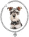 Dog Collar and Cat Chain Necklace, Stainless Steel Adjustable 18K Silver Heart-Shaped Necklace for Small Pets (Sliver,