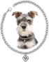 Dog Collar and Cat Chain Necklace, Stainless Steel Adjustable 18K Silver Heart-Shaped Necklace for Small Pets (Sliver,