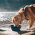 COOYOO Collapsible Dog Bowl, 2 Pack Portable Water Bowls for Cats Dogs with 2 Carabiners for Traveling