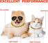 2 Pieces Gold Dog Link Chain Necklace, ABS Plastic Golden Collar Chain for Dogs, Puppy Costume (10 Inch (25+7 cm))
