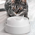 CatGuru Whisker Stress Free Cat Water Bowl, Non Slip Feeding Bowls, Shallow Cat Food Water Bowls (Marshmallow)
