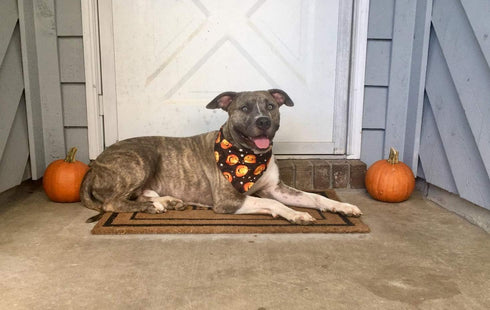 Halloween Dog Bandana, 4 PCS/Pack, Reversible Triangle Bibs Scarf Accessories for Large Dogs Cats Pets