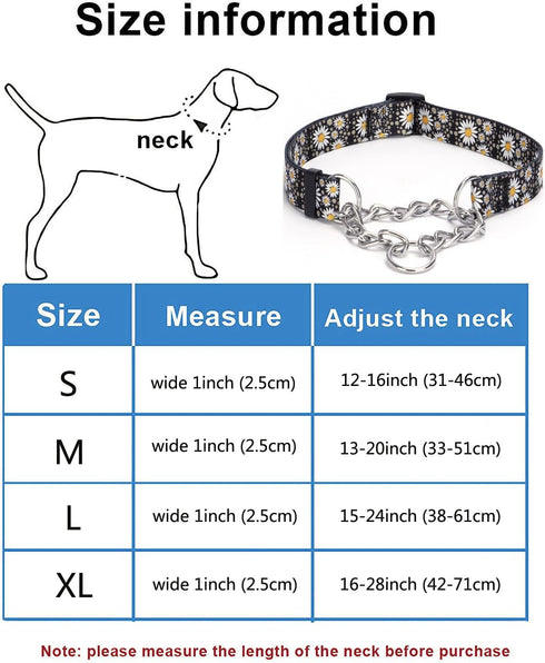 Martingale Dog Collar with Stainless Steel Chain - Limited Chain Cinch Training Collar for No Pull Training Dog - Flower Multicolor Cute Patterns - Premium No Slip Collar (XL, Skull)