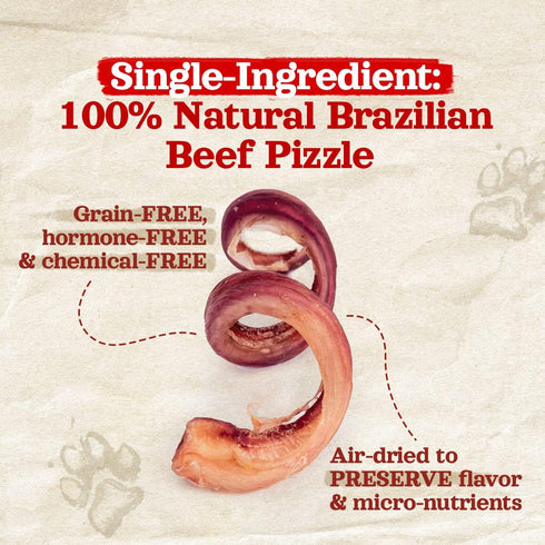 Natural Farm Odor-Free Curly Bully Sticks (10-12 Inch, 5 Pack), 100% Beef Pizzle Chews for Small & Medium Chewers