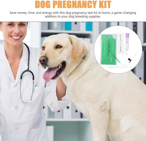 Dog Pregnancy Kit 1 Set Pet Dog Pregnancy Test Paper Fast and Accurate Detection Early Pregnancy Test Kit for Dog Cat Disposable Pet Clinic Equipment Animal Pregnancy Test Tools